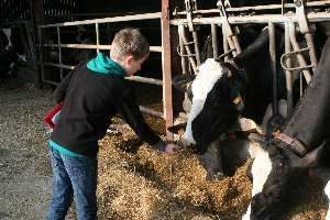 Ferme d’Andard 6C et 6E